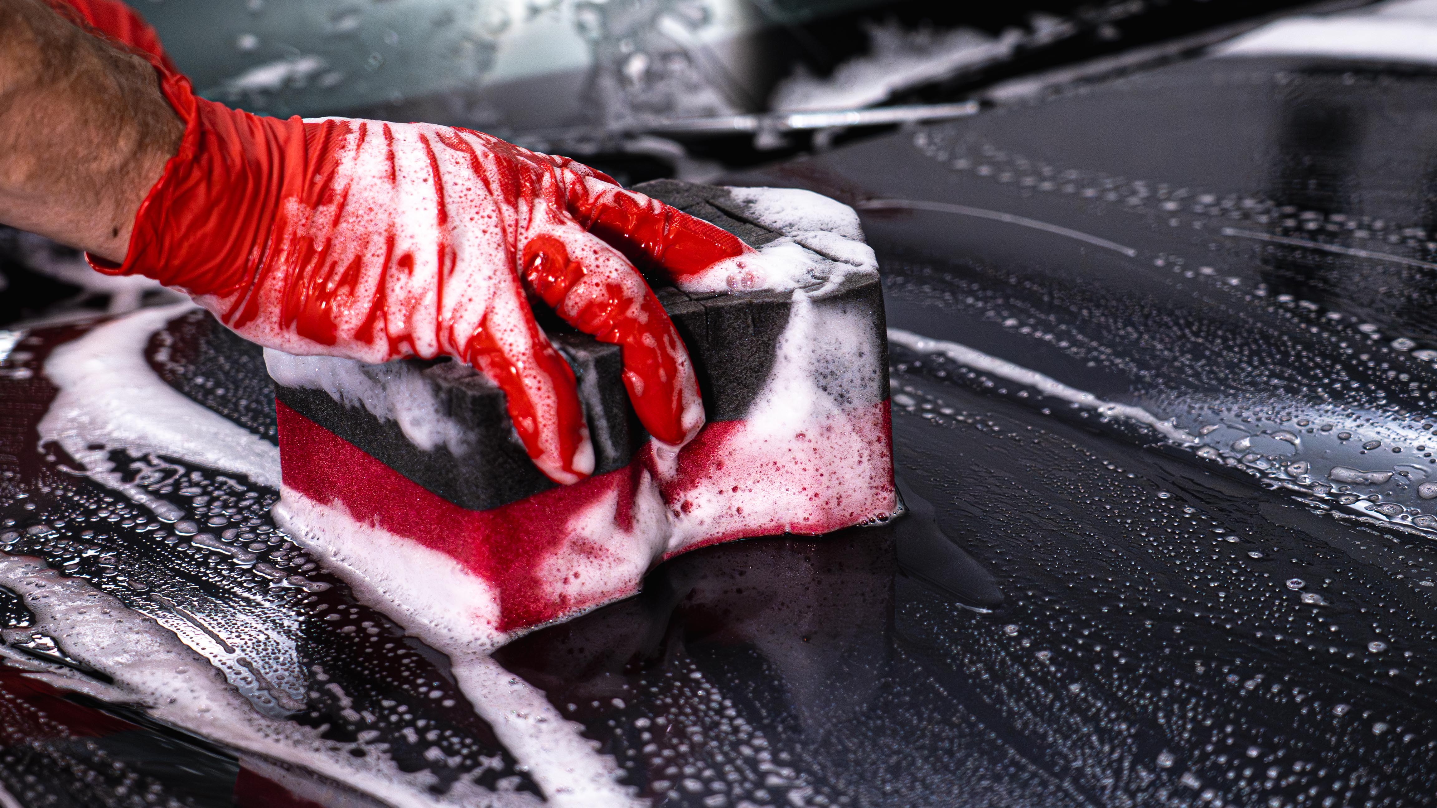 Legacy Sponge - Image 4