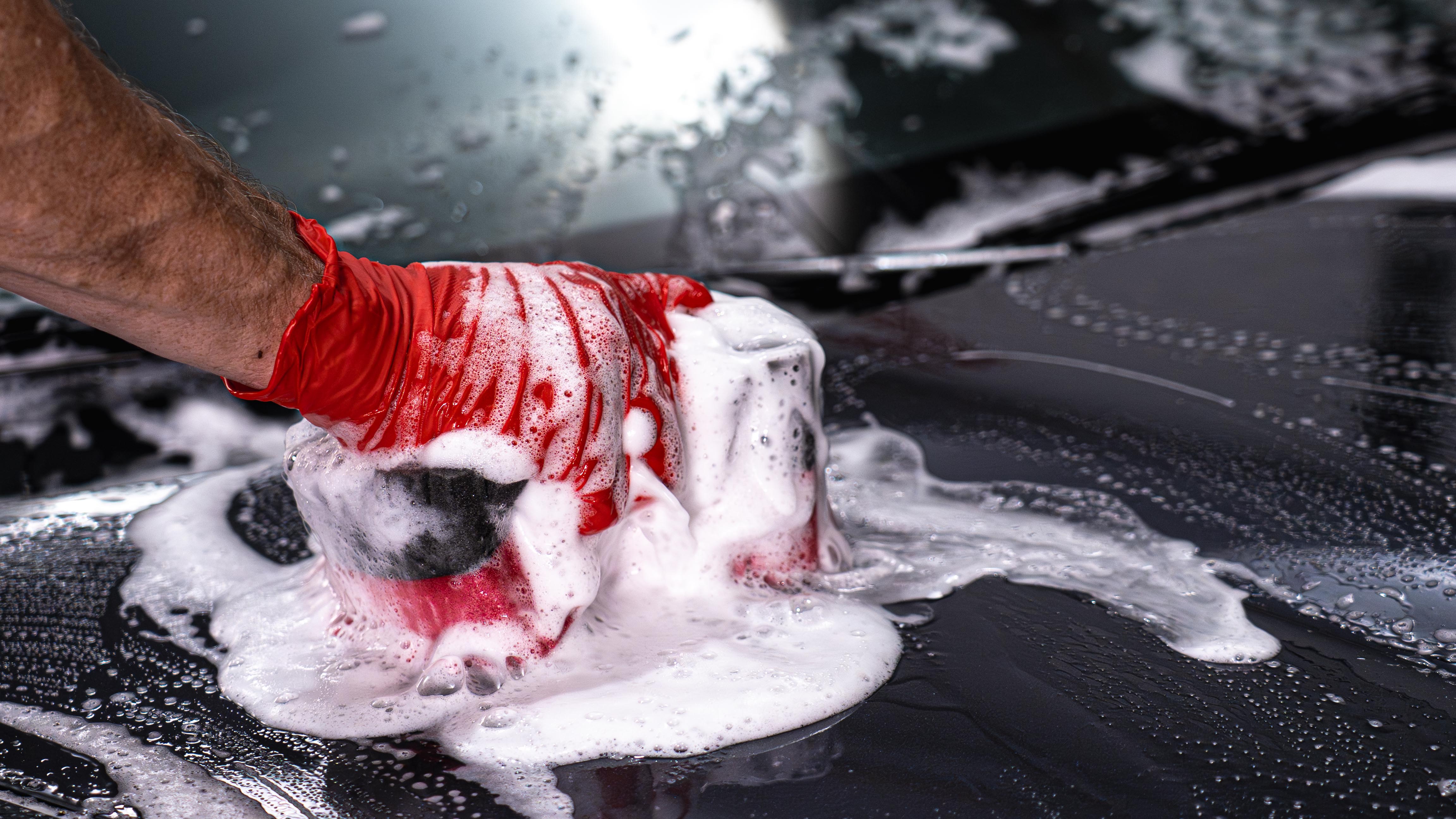 Legacy Sponge - Image 6